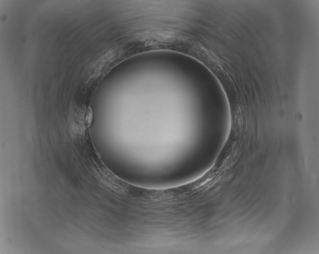 X0000073471012200607281237