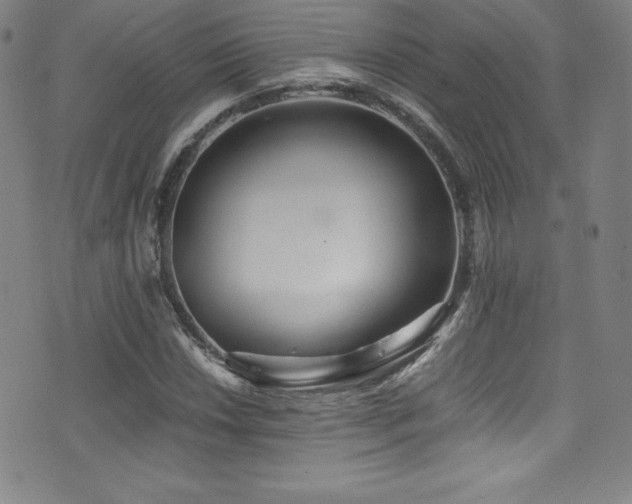 X0000073471018200607281237