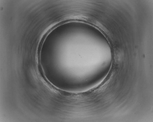 X0000073471028200607281237