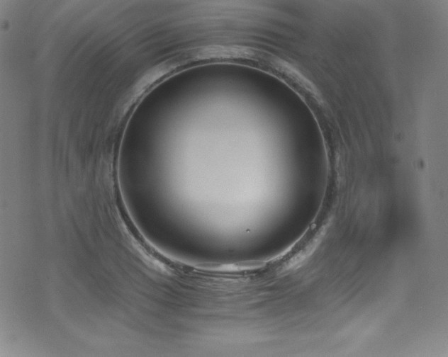 X0000073471033200607281237