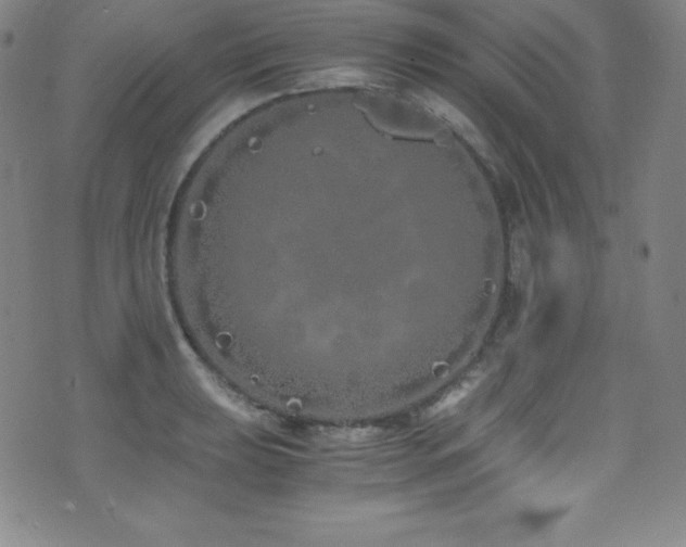 X0000073471039200607281238