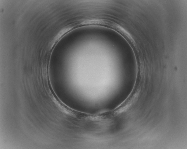 X0000073471041200607281238