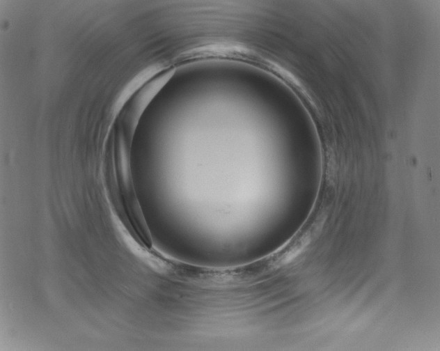 X0000073471042200607281238