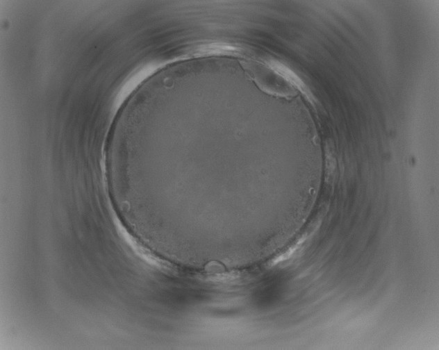 X0000073471047200607281238