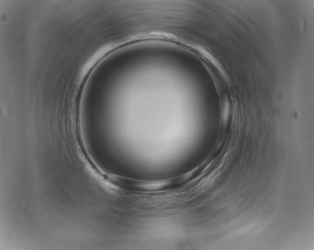 X0000073471054200607281238