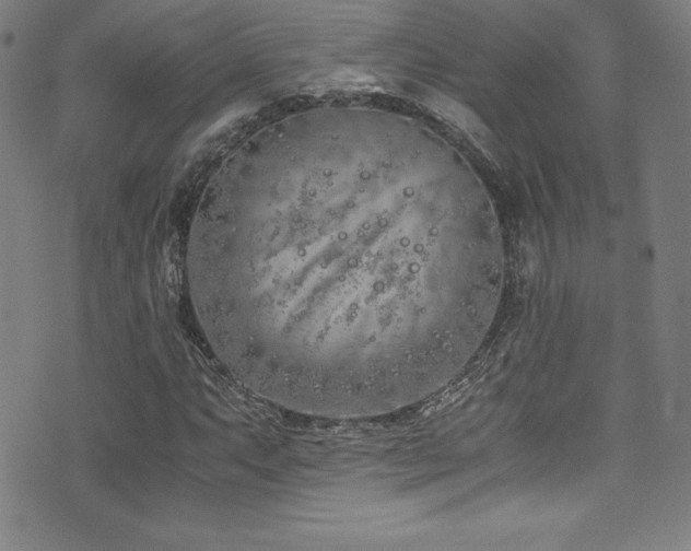 X0000073471063200607281237
