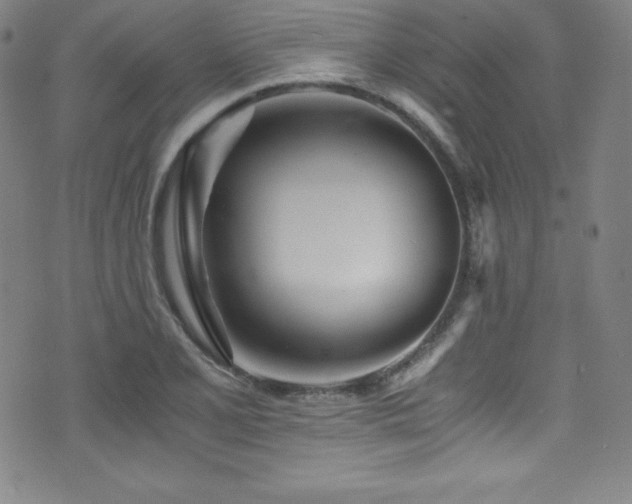 X0000073471077200607281237