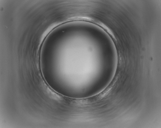 X0000073471102200607281236