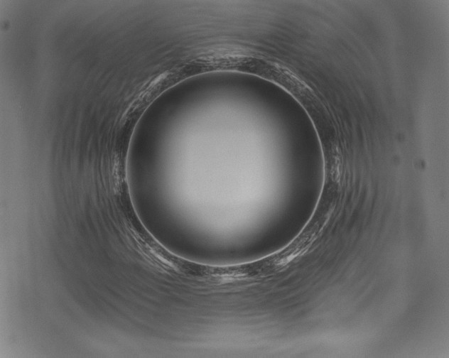 X0000073471108200607281236
