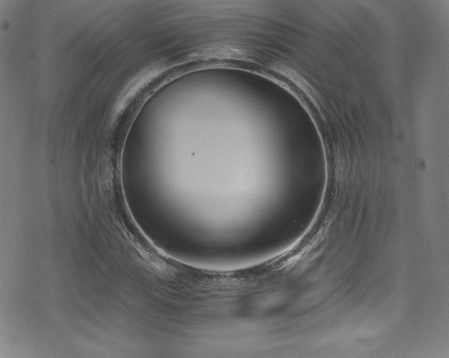 X0000073471115200607281236