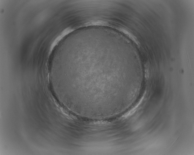 X0000073471117200607281236