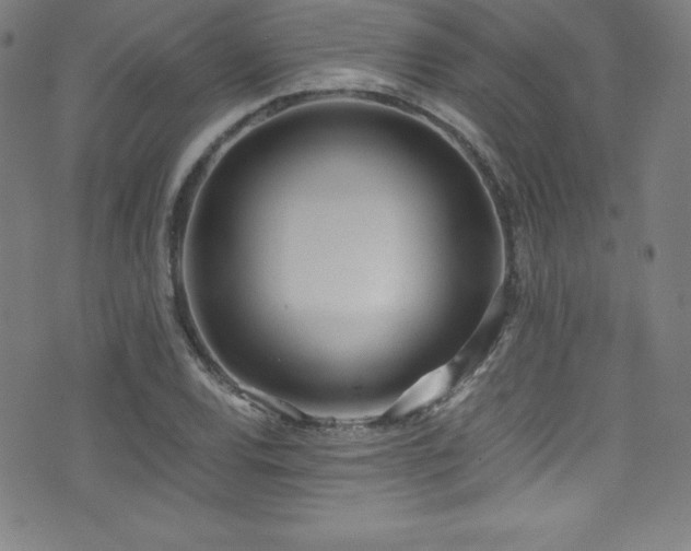 X0000073471120200607281236