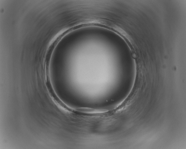 X0000073471127200607281236