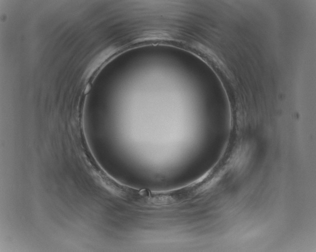 X0000073471129200607281236
