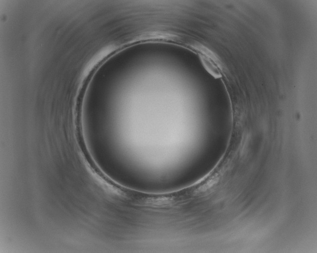X0000073471135200607281236