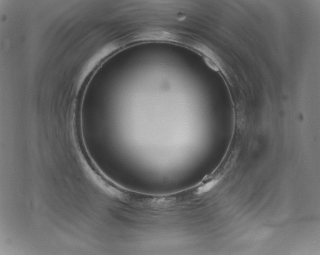 X0000073471139200607281236