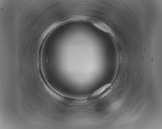 X0000073471143200607281236