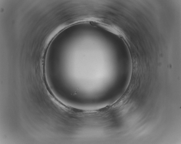 X0000073471151200607281236
