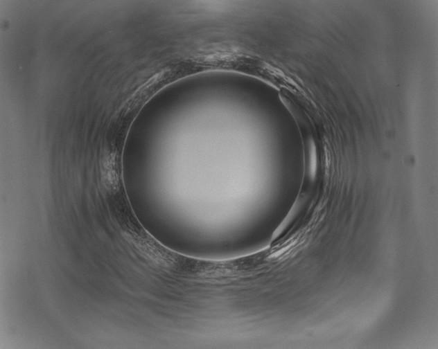 X0000073471156200607281235