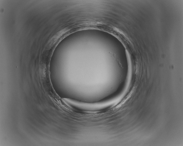 X0000073471161200607281235