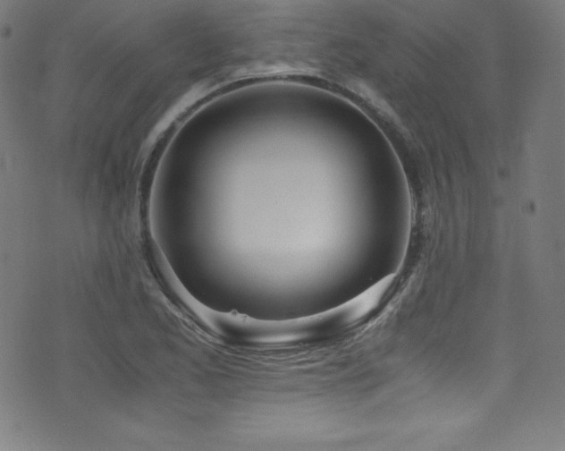 X0000073471173200607281235