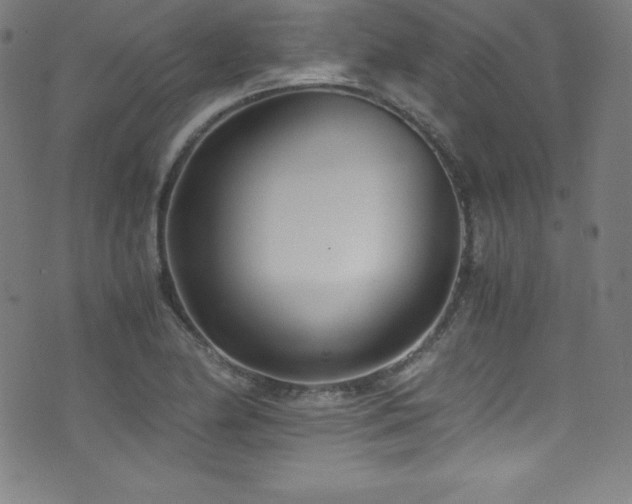 X0000073471174200607281235