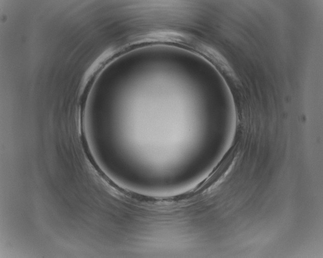 X0000073471180200607281235