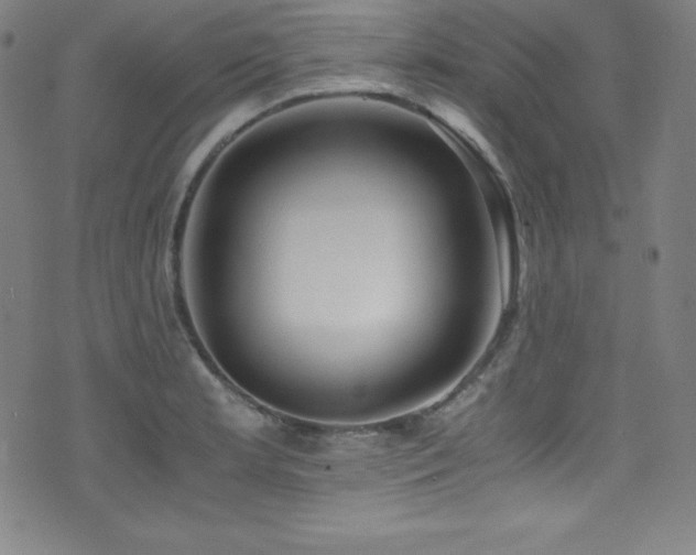 X0000073471181200607281235