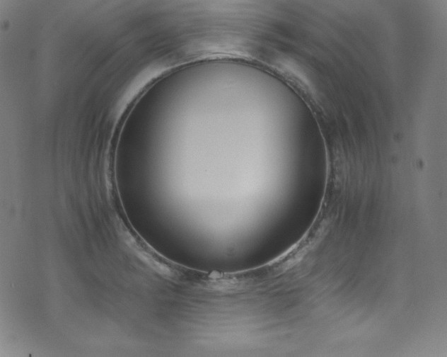 X0000073471182200607281235