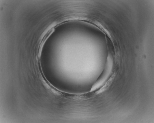 X0000073471189200607281235