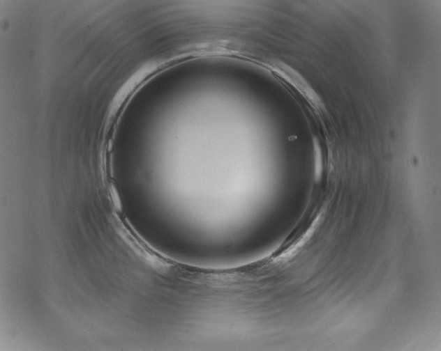 X0000073471196200607281235
