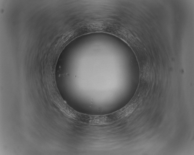 X0000073471201200607281234
