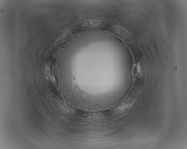 X0000073471203200607281234