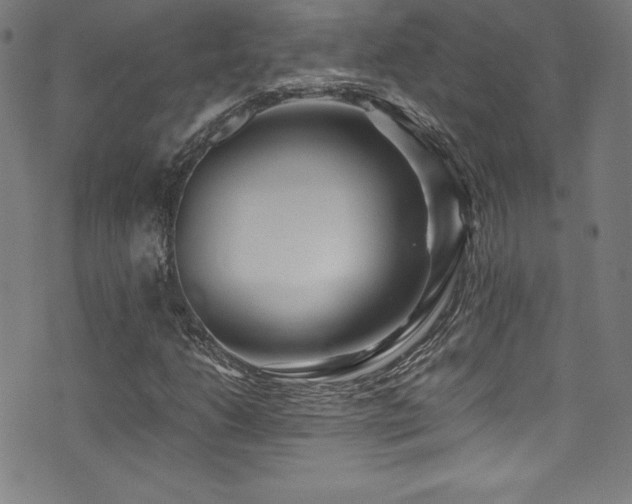 X0000073471206200607281234