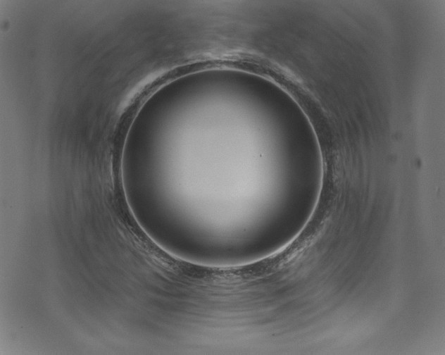 X0000073471214200607281234