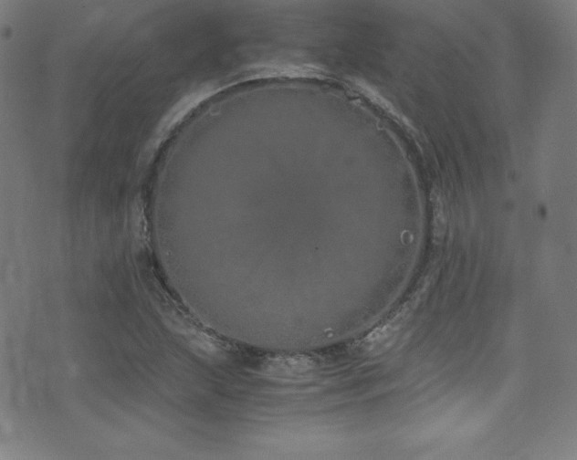 X0000073471215200607281234