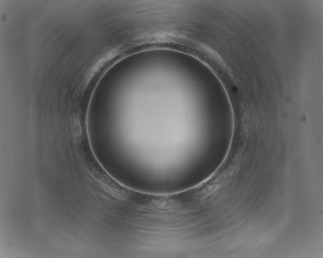 X0000073471218200607281234