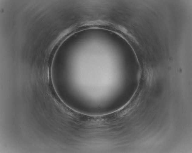 X0000073471221200607281234