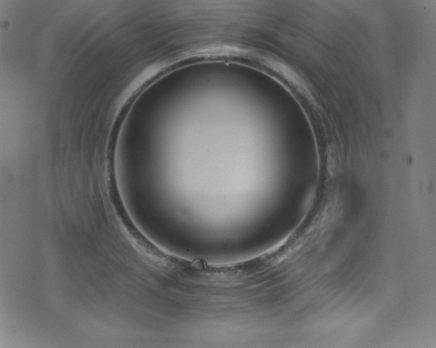 X0000073471229200607281234