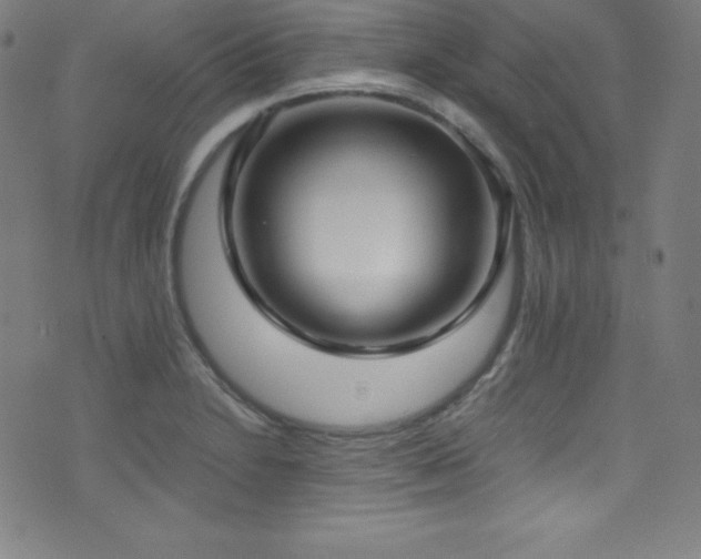 X0000073471230200607281234