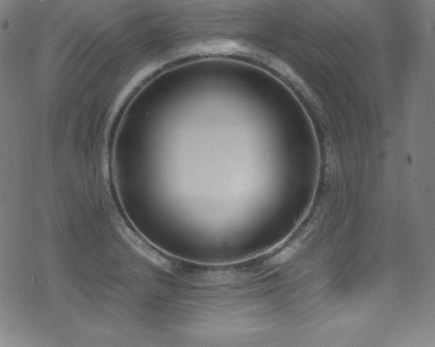 X0000073471232200607281234