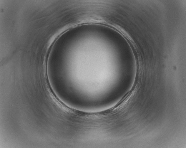 X0000073471246200607281235