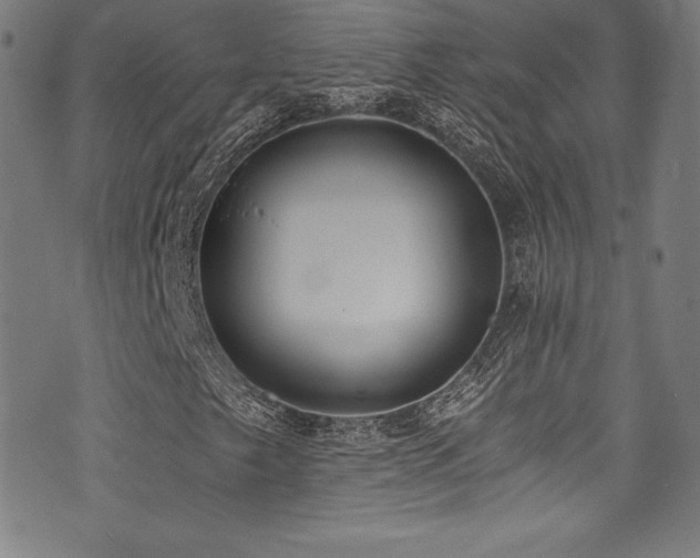 X0000073471249200607281234