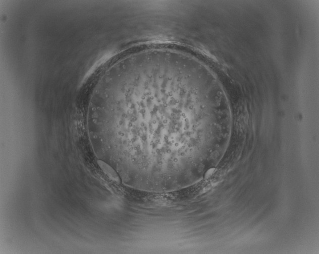 X0000073471255200607281234