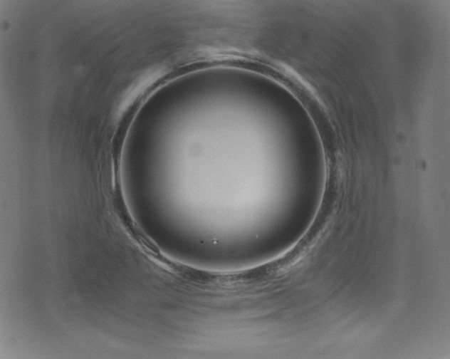 X0000073471269200607281234