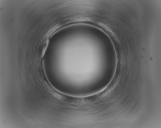 X0000073471273200607281233