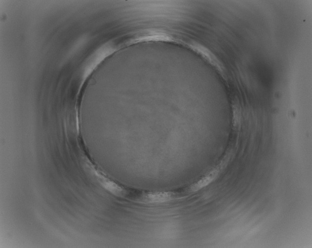 X0000073471274200607281233