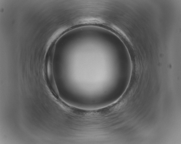 X0000073471277200607281233