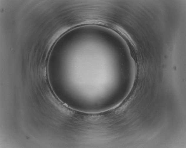 X0000073471284200607281233