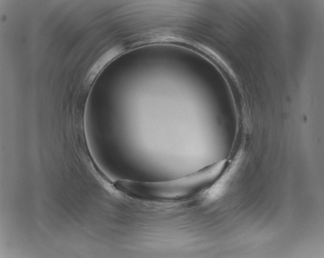 X0000073471289200607281233